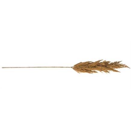 Coco Maison Pampas Grass Spray H115cm Roest